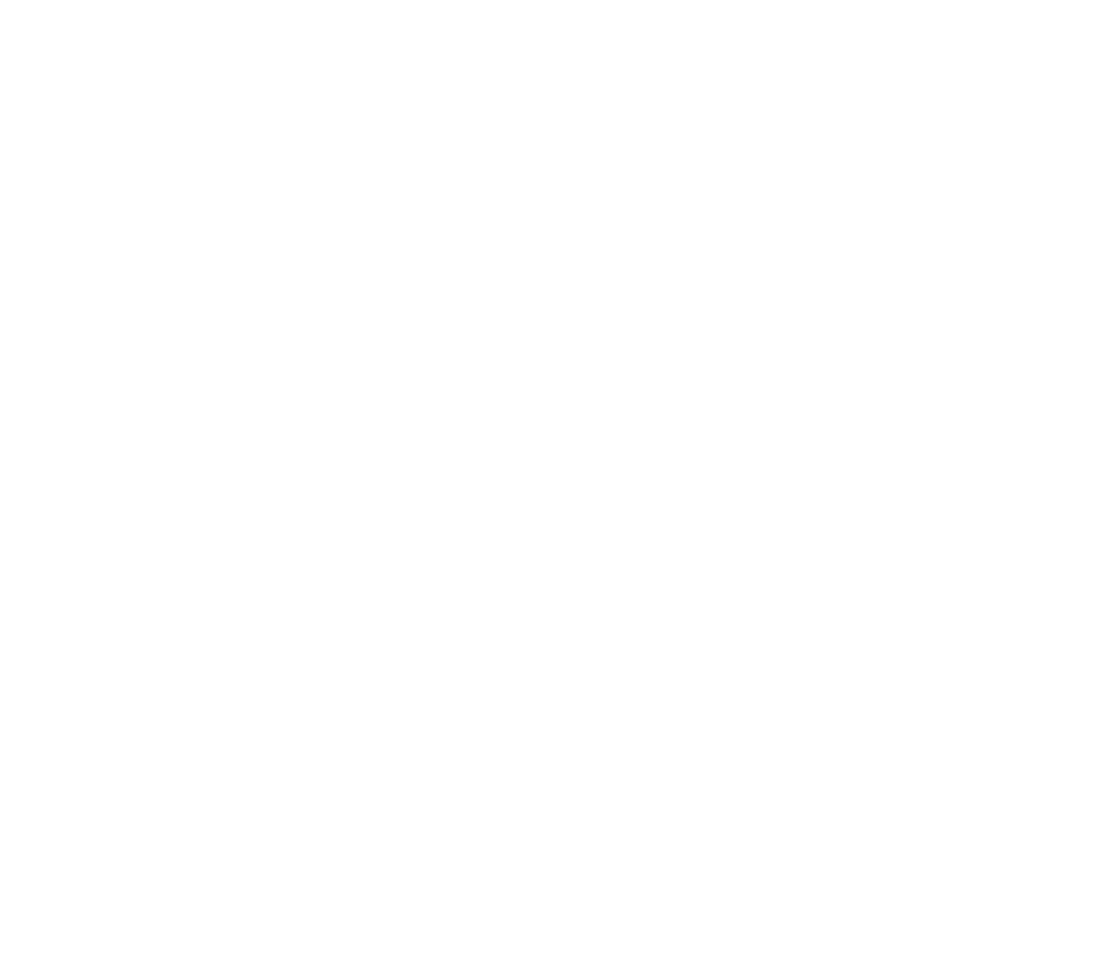 Berbernica Zvezda Legenda logo